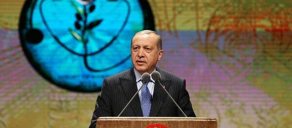 Cumhurbaşkanı Recep Tayyip Erdoğan - Sputnik Türkiye