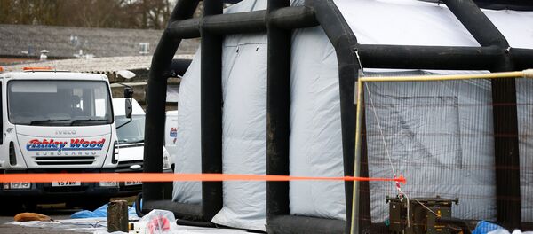 Sergey Skripal - Sputnik Türkiye