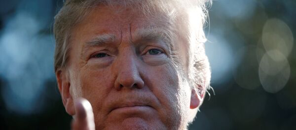 ABD Başkanı Donald Trump ABD Başkanı Donald Trump - Sputnik Türkiye