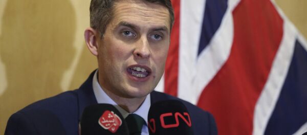 İngiltere Savunma Bakanı Gavin Williamson İngiltere Savunma Bakanı Gavin Williamson - Sputnik Türkiye