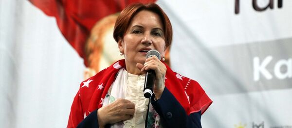 Meral Akşener - Sputnik Türkiye