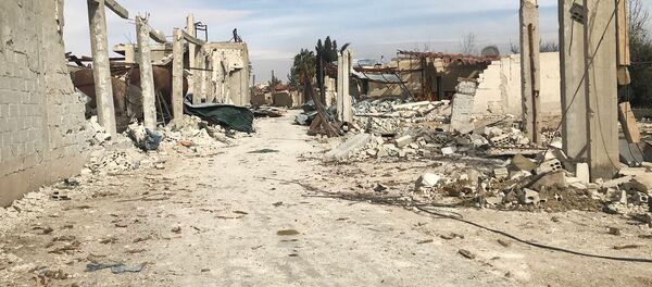 Doğu Guta'daki durum - Sputnik Türkiye