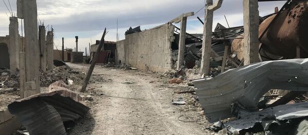 Doğu Guta'daki durum - Sputnik Türkiye