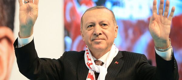 Cumhurbaşkanı Recep Tayyip Erdoğan Cumhurbaşkanı Recep Tayyip Erdoğan - Sputnik Türkiye