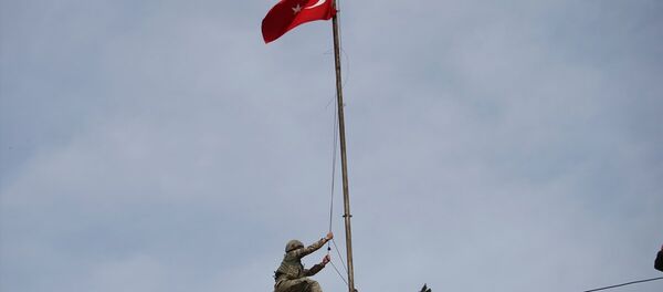 Afrin ilçe merkezi hükümet binasına Türk bayrağı çekildi - Sputnik Türkiye