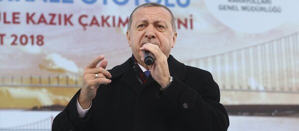 Cumhurbaşkanı Recep Tayyip Erdoğan - Sputnik Türkiye