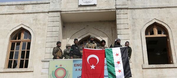 Afrin şehir merkezi, TSK-ÖSO - Sputnik Türkiye