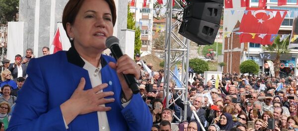 İYİ Parti Genel Başkanı Meral Akşener - Sputnik Türkiye