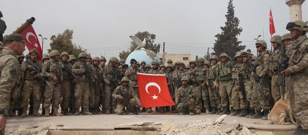TSK ve ÖSO Afrin merkezinde - Sputnik Türkiye
