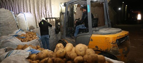 Patates - Sputnik Türkiye