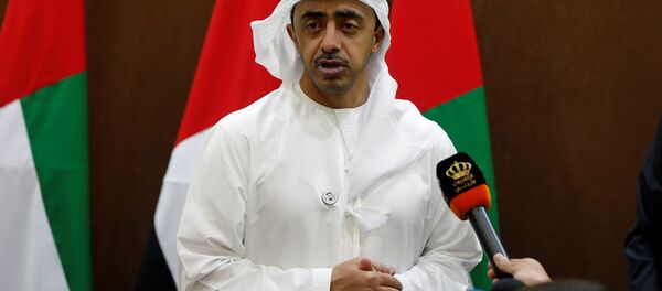 BAE Dışişleri Bakanı Abdullah bin Zayed el Nahyan - Sputnik Türkiye