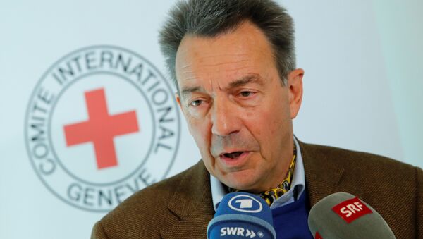 Uluslararası Kızlhaç Komitesi (ICRC) Başkanı Peter Maurer - Sputnik Türkiye
