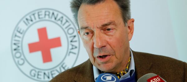 Uluslararası Kızlhaç Komitesi (ICRC) Başkanı Peter Maurer - Sputnik Türkiye
