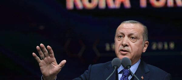 Recep Tayyip Erdoğan - Sputnik Türkiye