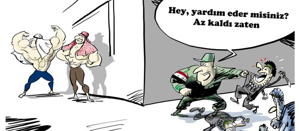 Karikatür Karikatür - Sputnik Türkiye