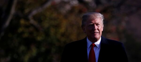 ABD Başkanı Donald Trump - Sputnik Türkiye