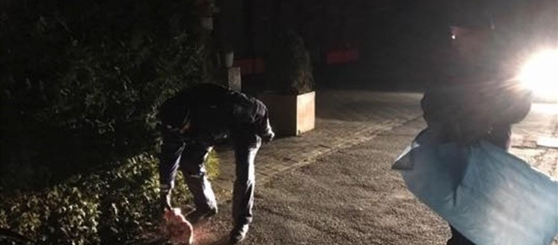 Almanya'da cami önüne domuz başı bırakıldı - Sputnik Türkiye, 1920, 30.10.2019