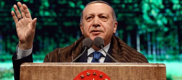 Recep Tayyip Erdoğan - Sputnik Türkiye