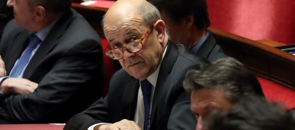 Fransa Dışişleri Bakanı Jean-Yves Le Drian - Sputnik Türkiye