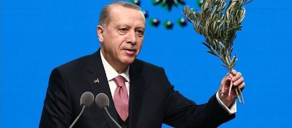 Cumhurbaşkanı Recep Tayyip Erdoğan - Sputnik Türkiye