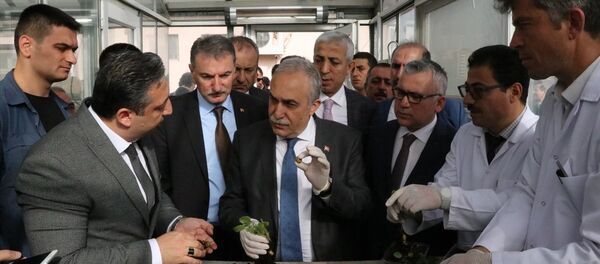 Gıda, Tarım ve Hayvancılık Bakanı Ahmet Eşref Fakıbaba - Sputnik Türkiye