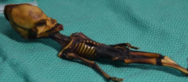 Şili'nin Atacama Çölü'nde bulunan 'Ata' adlı mumyalanmış insan fetüsü - Sputnik Türkiye