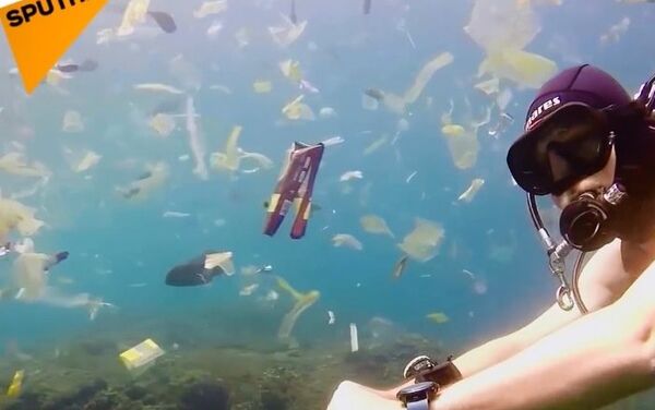 Okyanuslar yüzen plastik çöplüğüne dönüşüyor - Sputnik Türkiye