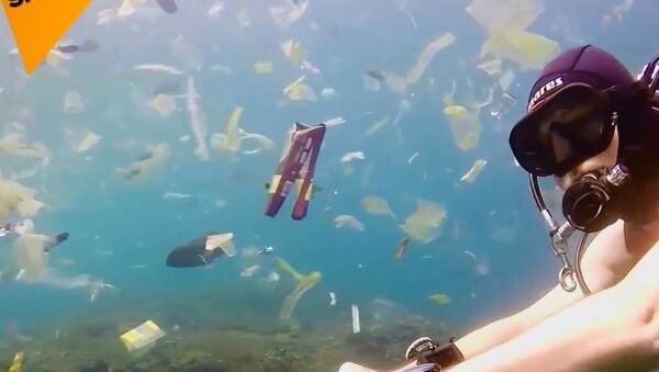 Okyanuslar yüzen plastik çöplüğüne dönüşüyor - Sputnik Türkiye