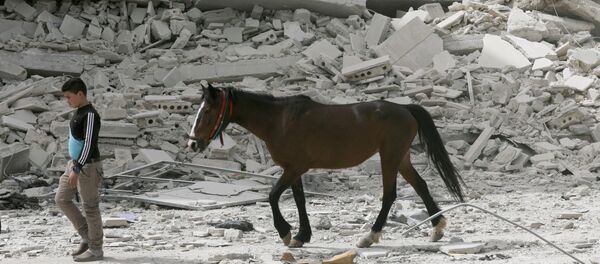 Afrin yıkım at çocuk - Sputnik Türkiye