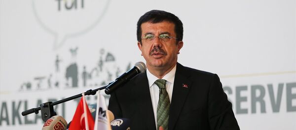 Ekonomi Bakanı Nihat Zeybekci - Sputnik Türkiye