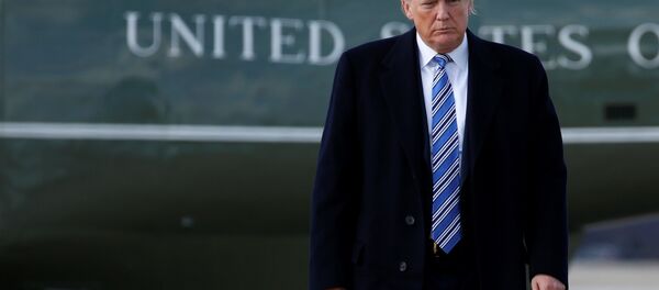 Donald Trump Air Force One - Sputnik Türkiye