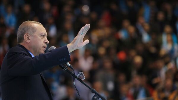 AK Parti Genel Başkanı ve Cumhurbaşkanı Recep Tayyip Erdoğan - Sputnik Türkiye