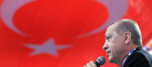 Cumhurbaşkanı Recep Tayyip Erdoğan - Sputnik Türkiye