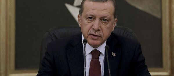 Erdoğan, havalimanı - Sputnik Türkiye