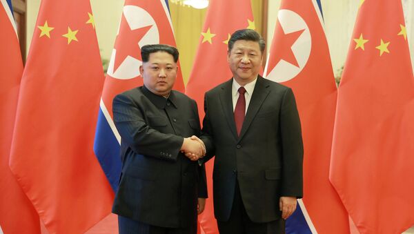 Kuzey Kore lideri Kim Jong-un- Çin lideri Şi Cinping - Sputnik Türkiye