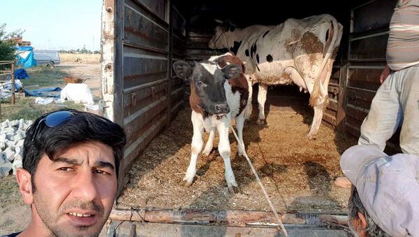 Birlik Beraberlik Tarım Hayvancılık İthalat İhracat Sanayi ve Ticaret Anonim Şirketi, Serkan Erden - Sputnik Türkiye