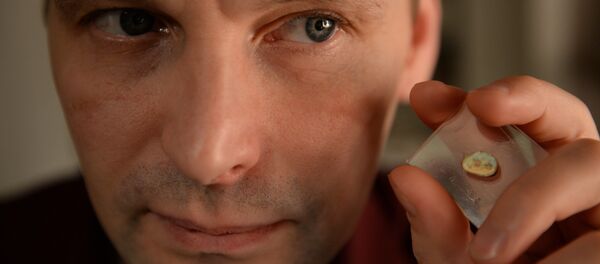 Rus ressamdan iğne deliğindeki sanat - Sputnik Türkiye