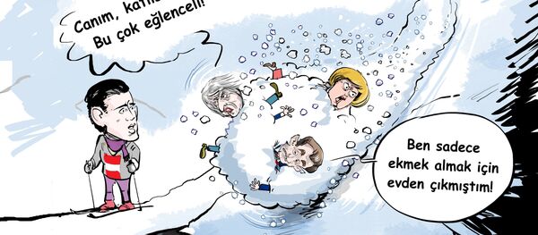 Karikatür - Sputnik Türkiye