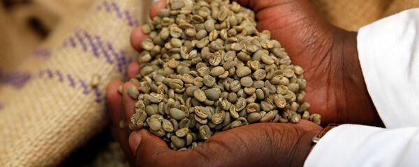 Kahve çekirdeği Kahve çekirdeği - Sputnik Türkiye