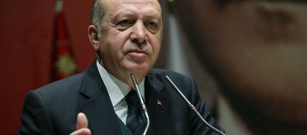 Cumhurbaşkanı Recep Tayyip Erdoğan - Sputnik Türkiye