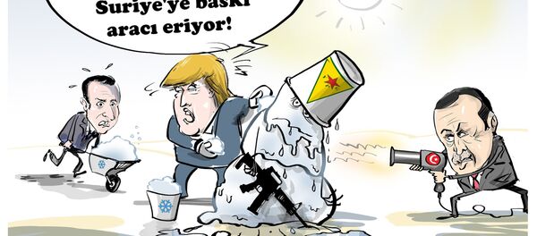 Karikatür - Sputnik Türkiye