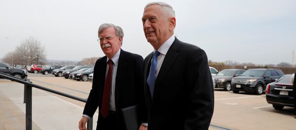 Mattis Bolton Pentagon - Sputnik Türkiye