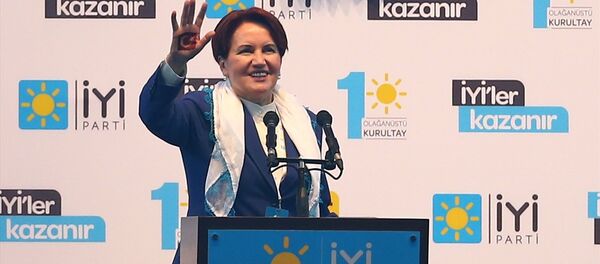 Meral Akşener - Sputnik Türkiye