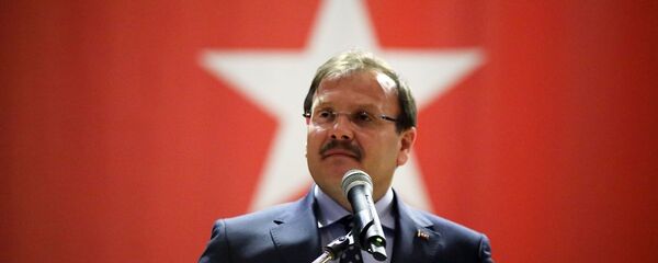 Başbakan Yardımcısı Hakan Çavuşoğlu Başbakan Yardımcısı Hakan Çavuşoğlu - Sputnik Türkiye