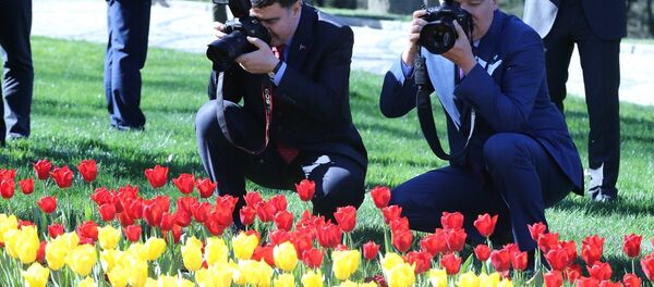 Lale- İstanbul Lale- İstanbul - Sputnik Türkiye