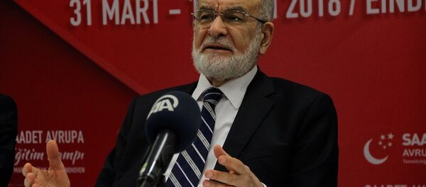 Temel Karamollaoğlu - Sputnik Türkiye