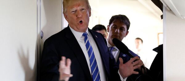 ABD Başkanı Donald Trump - Sputnik Türkiye