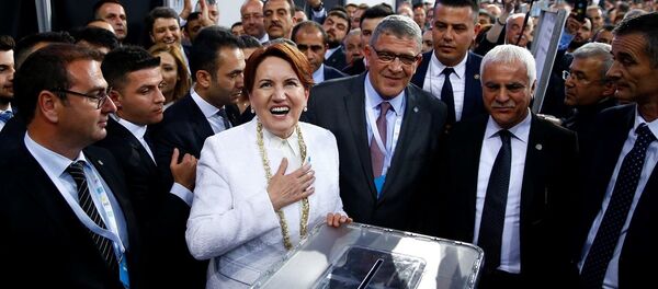İYİ Parti lideri Meral Akşener - Sputnik Türkiye