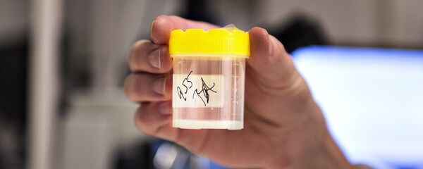 Sperm bankası - Sputnik Türkiye