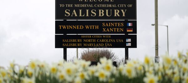 Salisbury hoşgeldin tabelası - Sputnik Türkiye